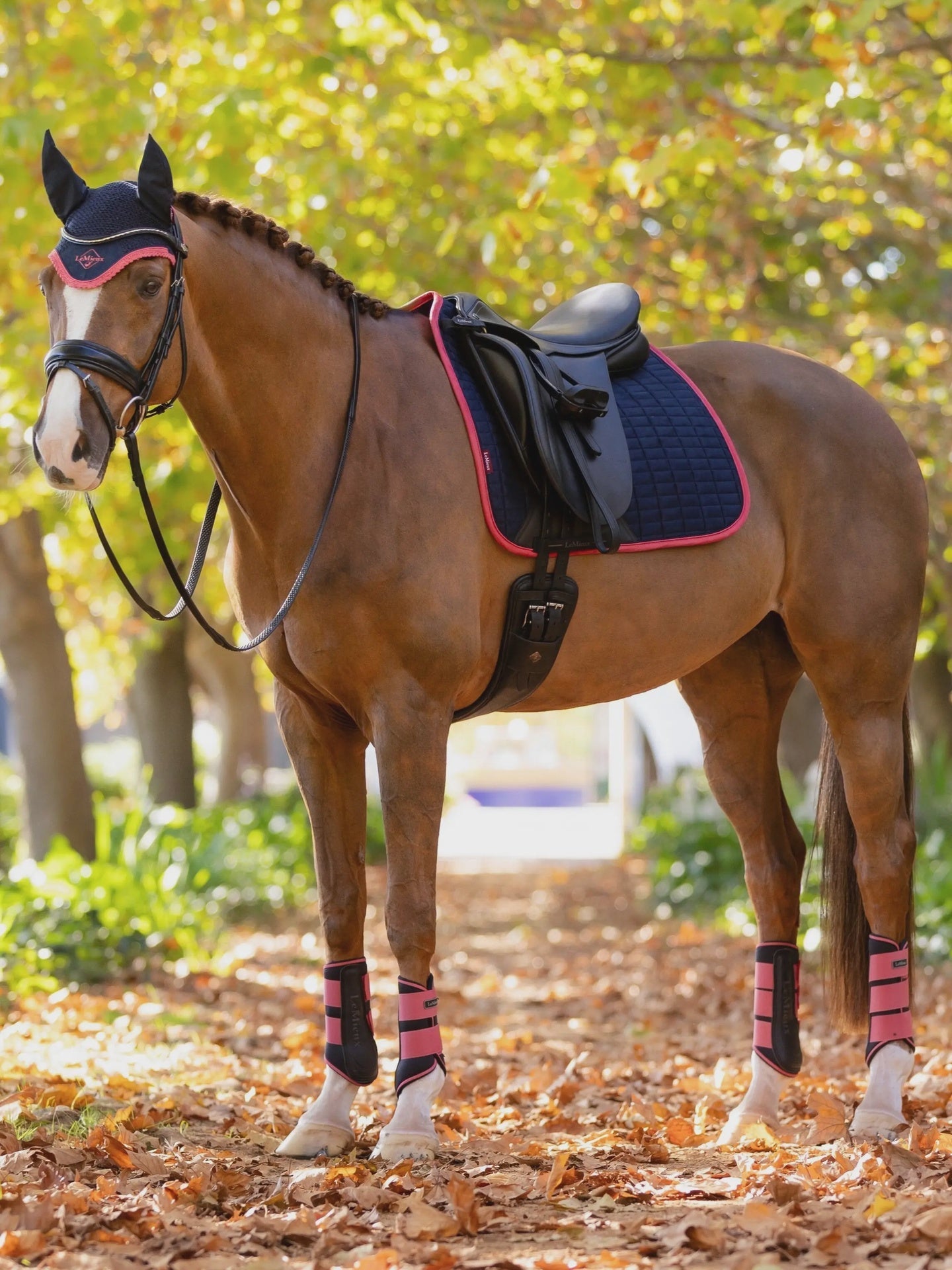 Lemieux Suede Zadeldek Navy/Cranberry Zadeldoeken - Maddelin Equestrian LeMieux