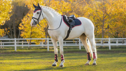 Lemieux Suede Zadeldek Navy/Cranberry Zadeldoeken - Maddelin Equestrian LeMieux