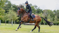 Lemieux Suede Zadeldek Navy/Cranberry Zadeldoeken - Maddelin Equestrian LeMieux