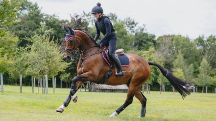 Lemieux Suede Zadeldek Navy/Cranberry Zadeldoeken - Maddelin Equestrian LeMieux