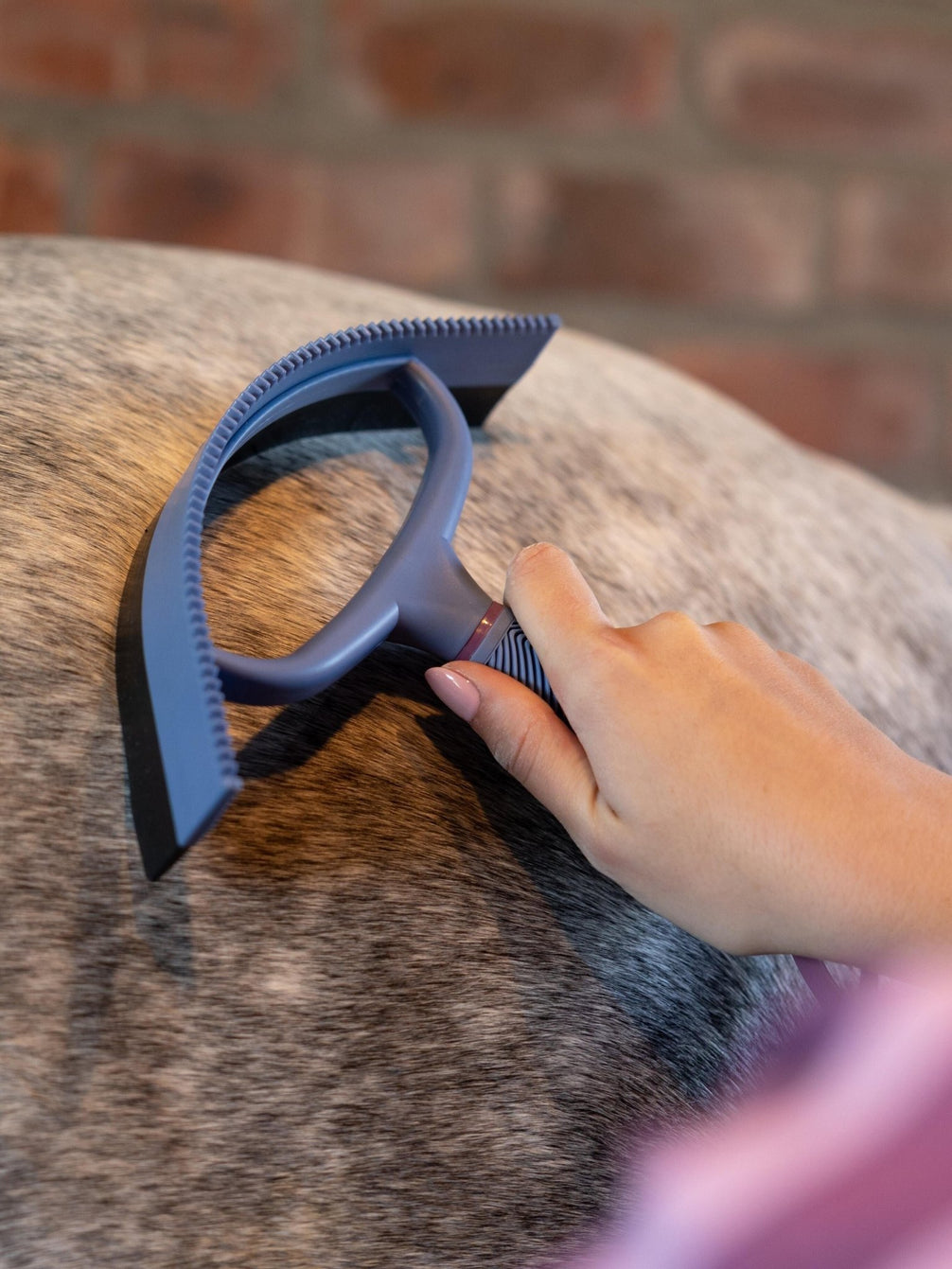 Lemieux Sweat Scraper Borstels & toebehoren - Maddelin Equestrian LeMieux