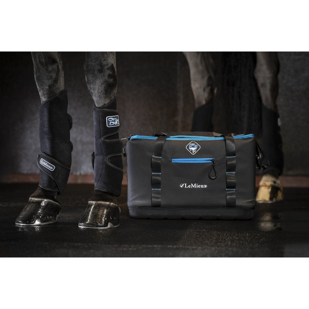 LeMieux Tendon Chill Boots - Verkoelend (Pair) Transport, therapeutisch en stalbeschermers - Maddelin Equestrian LeMieux