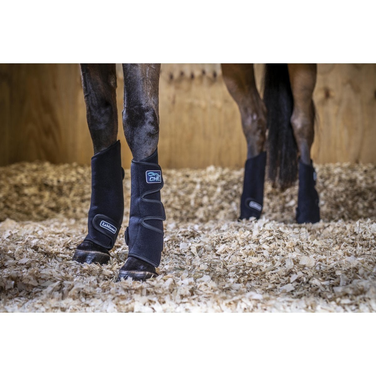 LeMieux Tendon Chill Boots - Verkoelend (Pair) Transport, therapeutisch en stalbeschermers - Maddelin Equestrian LeMieux