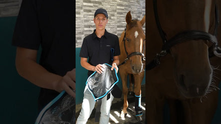 LeMieux Tendon Chill Boots - Verkoelend (Pair) Transport, therapeutisch en stalbeschermers - Maddelin Equestrian LeMieux