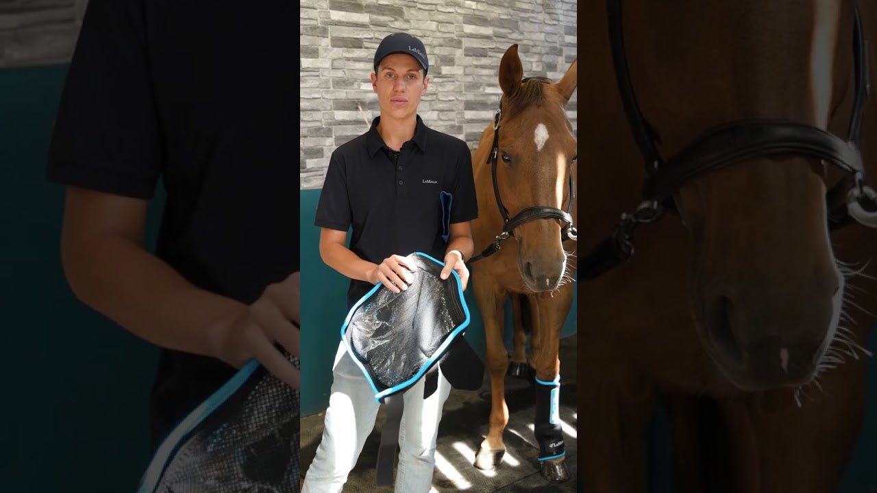 LeMieux Tendon Chill Boots - Verkoelend (Pair) Transport, therapeutisch en stalbeschermers - Maddelin Equestrian LeMieux