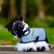 LeMieux Tiny Pony Speelgoed - Maddelin Equestrian LeMieux