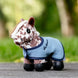 LeMieux Tiny Pony Speelgoed - Maddelin Equestrian LeMieux