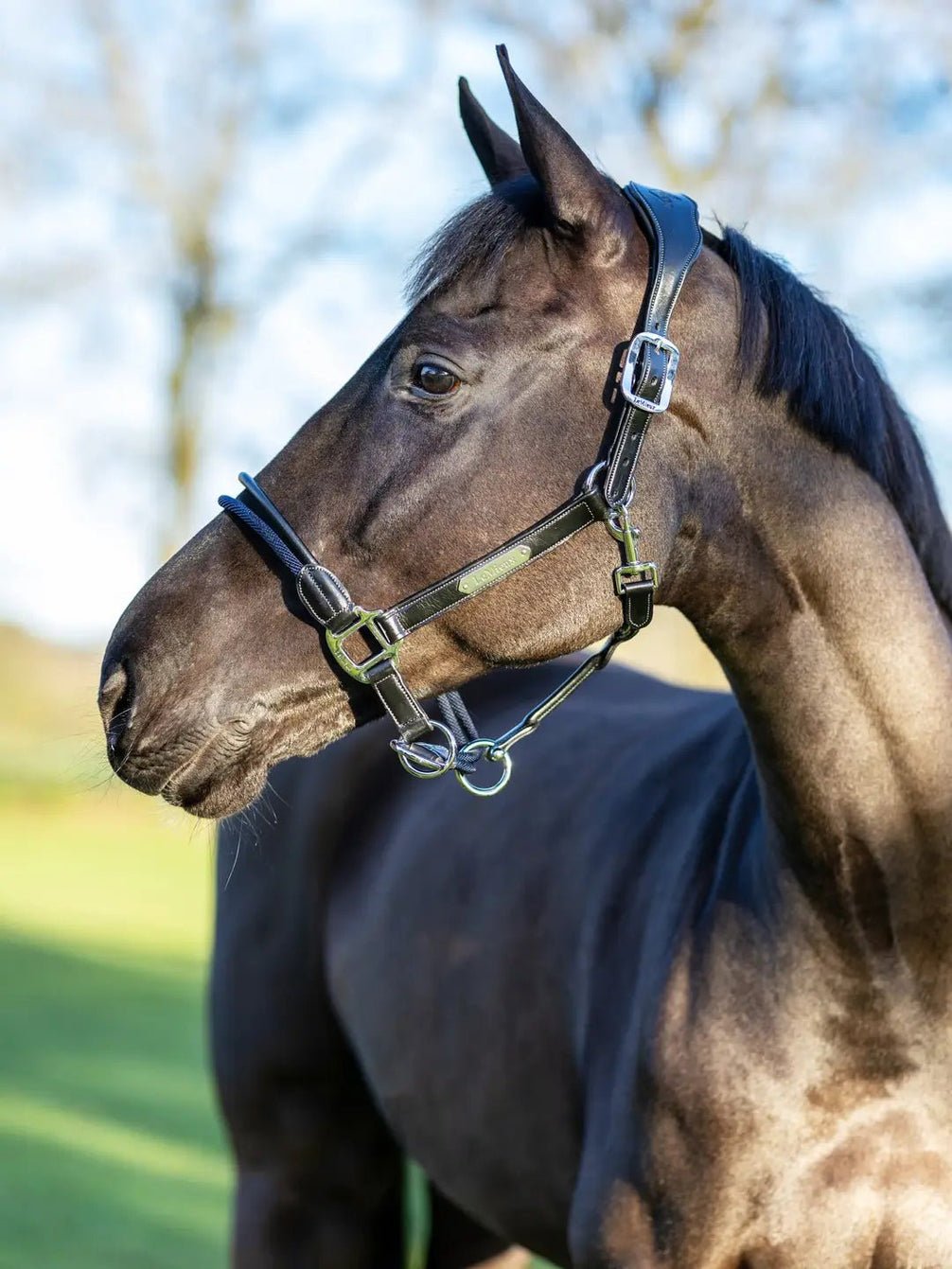 LeMieux Touw Controlehalster Controle halster - Maddelin Equestrian LeMieux