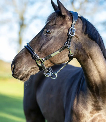 LeMieux Touw Controlehalster Controle halster - Maddelin Equestrian LeMieux