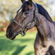 LeMieux Touw Controlehalster Controle halster - Maddelin Equestrian LeMieux