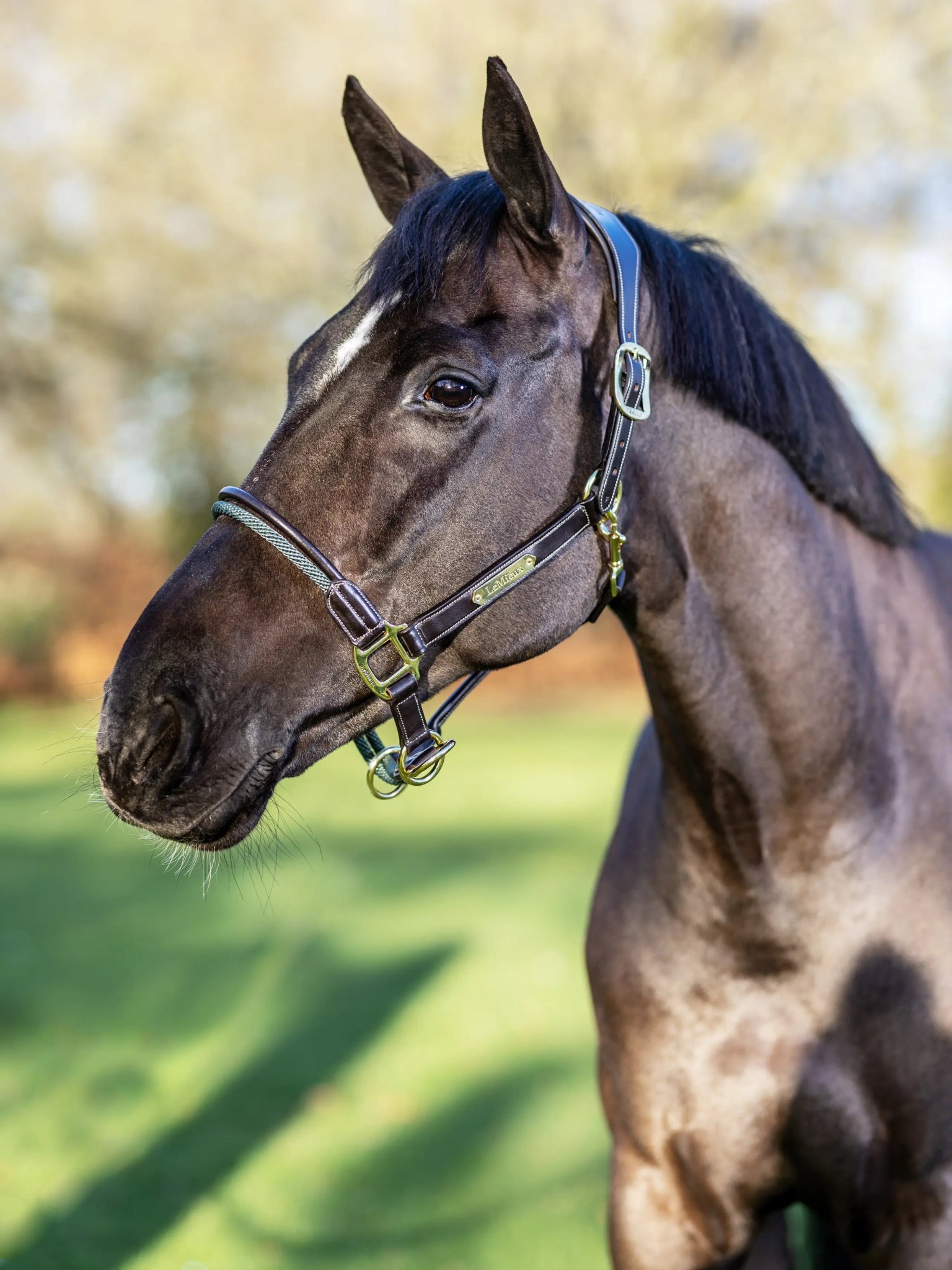 LeMieux Touw Controlehalster Controle halster - Maddelin Equestrian LeMieux