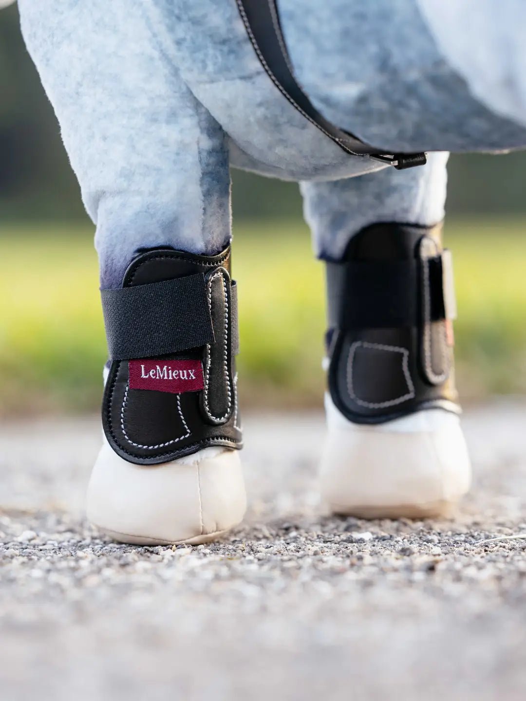 LeMieux Toy Pony Beenbeschermers Capella Speelgoed - Maddelin Equestrian LeMieux
