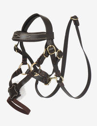 LeMieux Toy Pony Grackle Hoofdstel Speelgoed - Maddelin Equestrian LeMieux