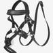 LeMieux Toy Pony Grackle Hoofdstel Speelgoed - Maddelin Equestrian LeMieux