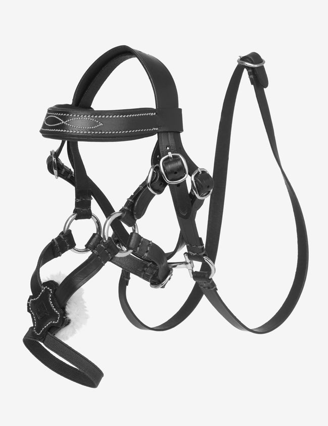 LeMieux Toy Pony Grackle Hoofdstel Speelgoed - Maddelin Equestrian LeMieux