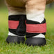 LeMieux Toy Pony Grafter Beenbeschermers Speelgoed - Maddelin Equestrian LeMieux