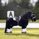 LeMieux Toy Pony Hoofdstel Speelgoed - Maddelin Equestrian LeMieux