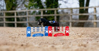 LeMieux Toy Pony Jump Set Speelgoed - Maddelin Equestrian LeMieux