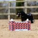 LeMieux Toy Pony Puissance Wall Speelgoed - Maddelin Equestrian LeMieux