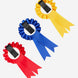 LeMieux Toy Pony Rosette Pack Speelgoed - Maddelin Equestrian LeMieux