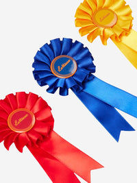 LeMieux Toy Pony Rosette Pack Speelgoed - Maddelin Equestrian LeMieux