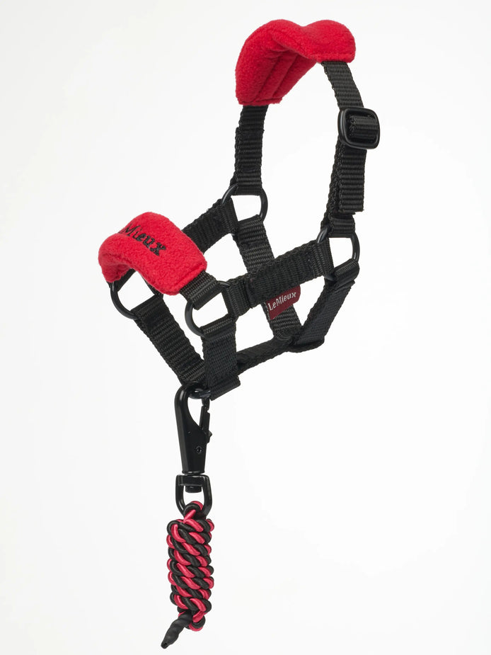 LeMieux Toy Pony Vogue Halster Speelgoed - Maddelin Equestrian LeMieux