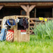 LeMieux Toy Pony Wooden Stable Set Speelgoed - Maddelin Equestrian LeMieux