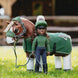 Lemieux Toy Rider Geschenken - Maddelin Equestrian LeMieux