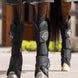 LeMieux Transport Beschermers Transport, therapeutisch en stalbeschermers - Maddelin Equestrian LeMieux