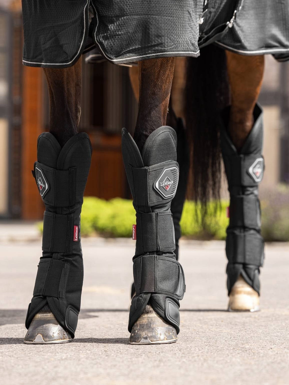 LeMieux Transport Beschermers Transport, therapeutisch en stalbeschermers - Maddelin Equestrian LeMieux