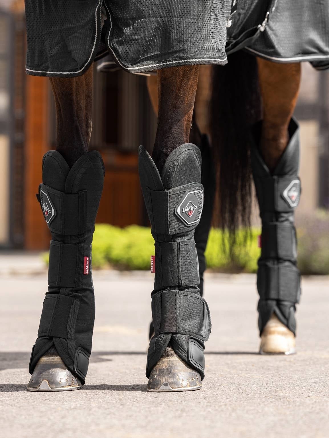 LeMieux Transport Beschermers Transport, therapeutisch en stalbeschermers - Maddelin Equestrian LeMieux