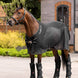 LeMieux Transport Beschermers Transport, therapeutisch en stalbeschermers - Maddelin Equestrian LeMieux