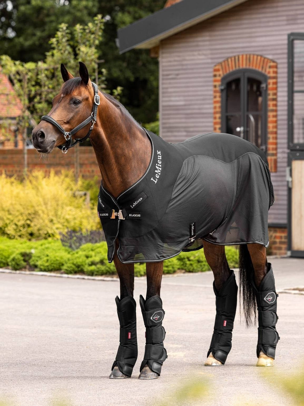 LeMieux Transport Beschermers Transport, therapeutisch en stalbeschermers - Maddelin Equestrian LeMieux