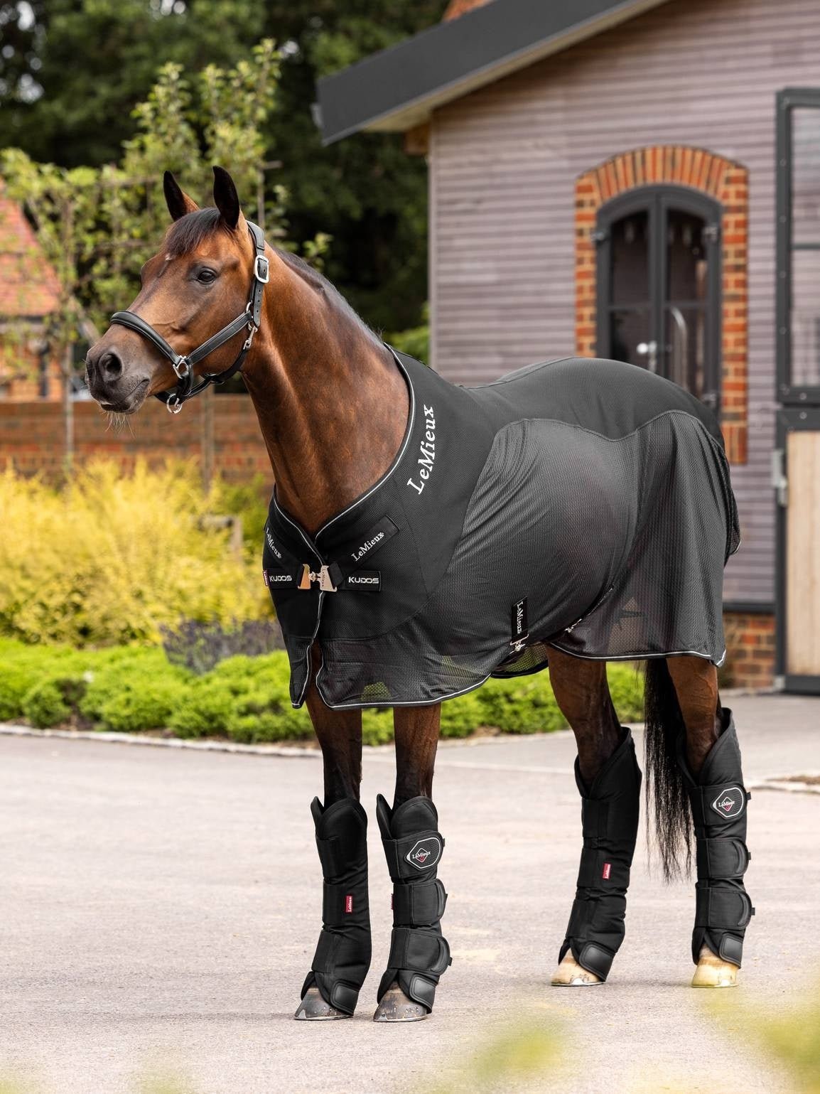 LeMieux Transport Beschermers Transport, therapeutisch en stalbeschermers - Maddelin Equestrian LeMieux