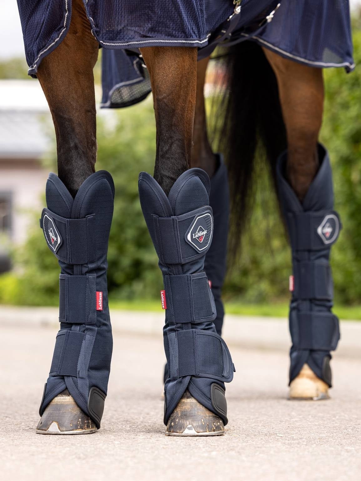 LeMieux Transport Beschermers Transport, therapeutisch en stalbeschermers - Maddelin Equestrian LeMieux
