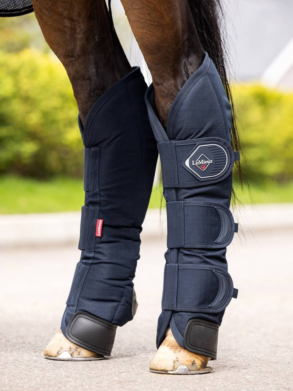 LeMieux Transport Beschermers Transport, therapeutisch en stalbeschermers - Maddelin Equestrian LeMieux