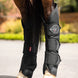 LeMieux Transport Beschermers Transport, therapeutisch en stalbeschermers - Maddelin Equestrian LeMieux