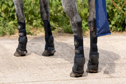 LeMieux Turnout Beenbeschermers Transport, therapeutisch en stalbeschermers - Maddelin Equestrian LeMieux