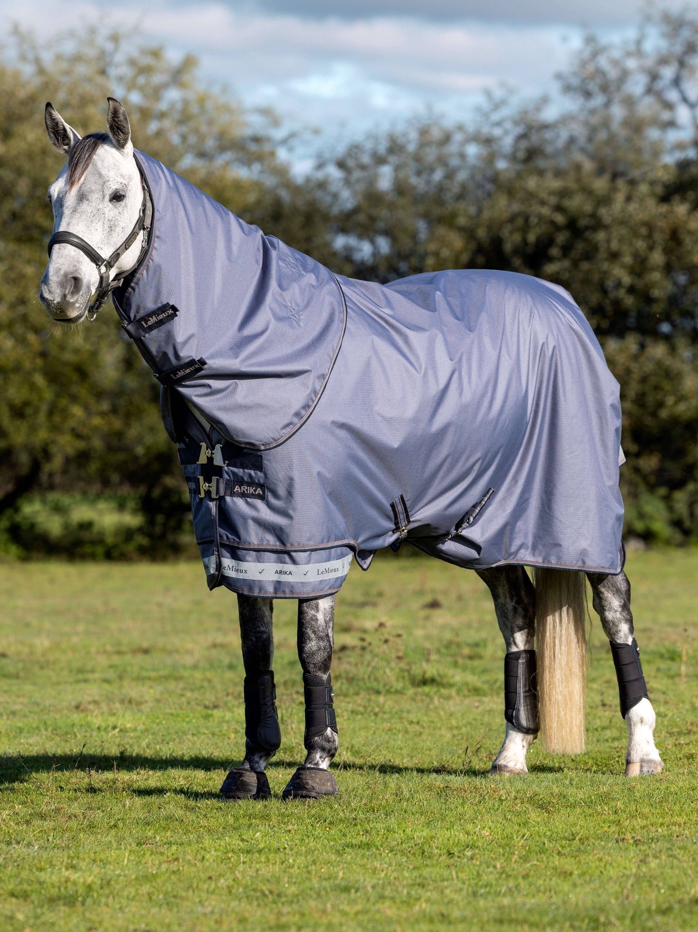 LeMieux Turnout Paardendeken Arika Ripstop Jay Blue Outdoordeken - Maddelin Equestrian LeMieux
