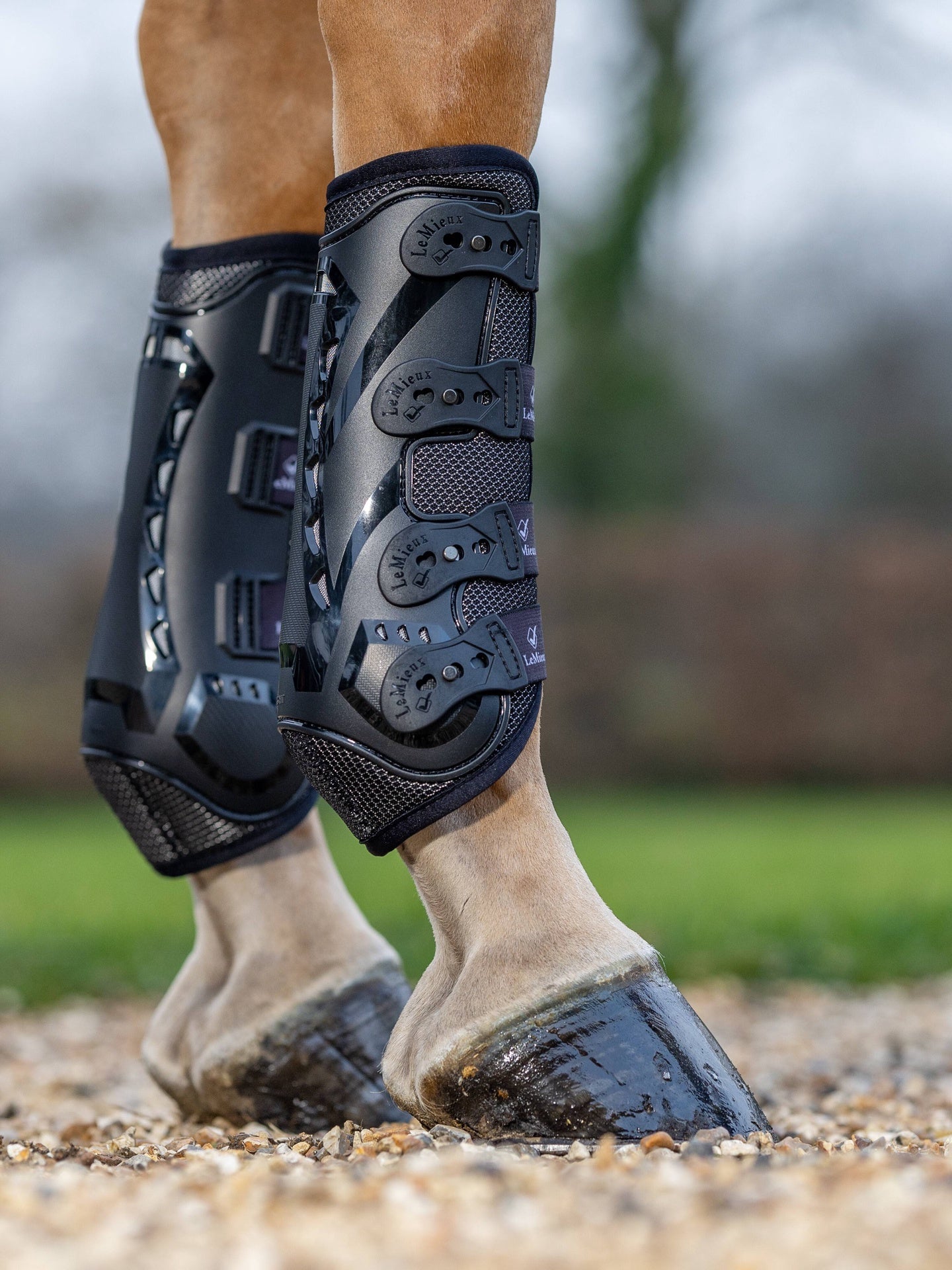 LeMieux Ultra Mesh Snug Boots Peesbeschermers Beenbeschermers - Maddelin Equestrian LeMieux