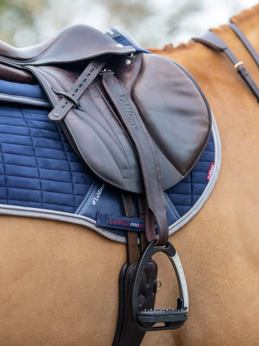 LeMieux Vector Pro Beugelriemen Beugelriemen - Maddelin Equestrian LeMieux