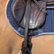 LeMieux Vector Stijgbeugelriemen Beugelriemen - Maddelin Equestrian LeMieux