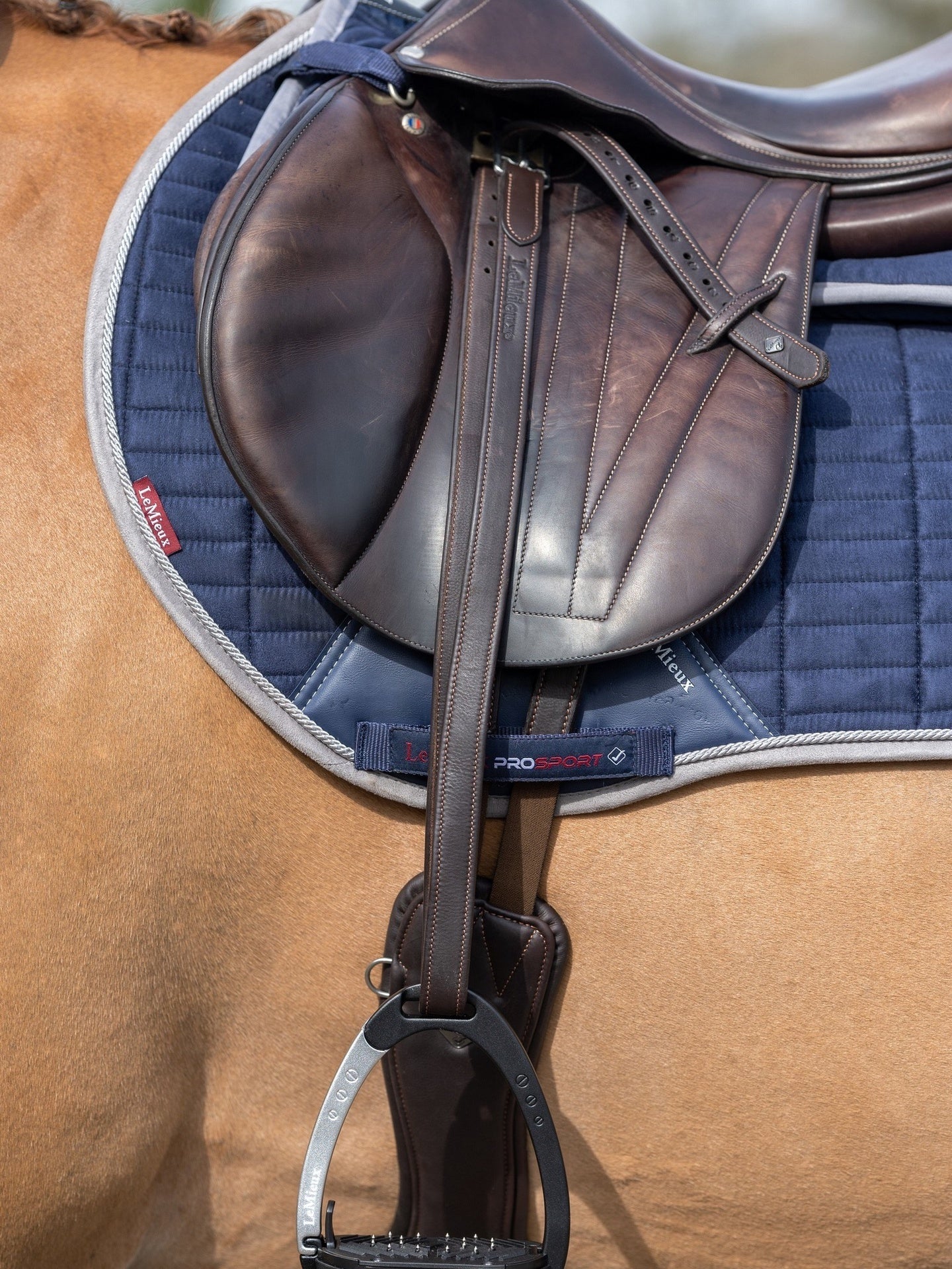 LeMieux Vector Stijgbeugelriemen Beugelriemen - Maddelin Equestrian LeMieux