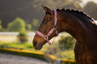 LeMieux Versailles Halster Nylon halsters - Maddelin Equestrian LeMieux