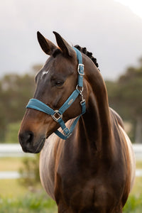 LeMieux Versailles Halster Nylon halsters - Maddelin Equestrian LeMieux