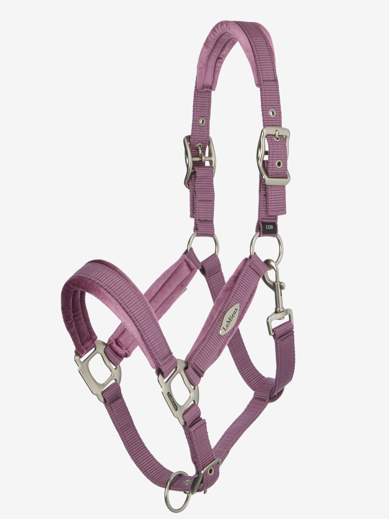LeMieux Versailles Halster Nylon halsters - Maddelin Equestrian LeMieux