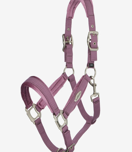 LeMieux Versailles Halster Nylon halsters - Maddelin Equestrian LeMieux