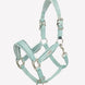 LeMieux Versailles Halster ss25 Nylon halsters - Maddelin Equestrian LeMieux
