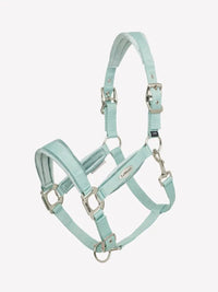 LeMieux Versailles Halster ss25 Nylon halsters - Maddelin Equestrian LeMieux