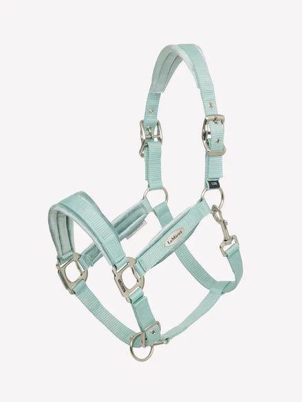 LeMieux Versailles Halster ss25 Nylon halsters - Maddelin Equestrian LeMieux
